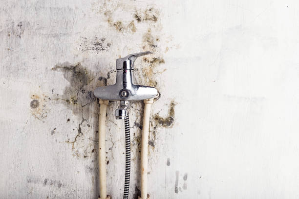 Best Emergency Mold Removal  in Ellerslie, GA