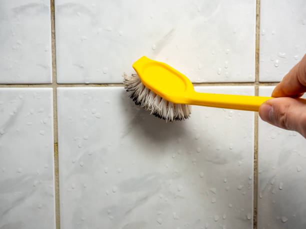Best Local Mold Removal Service  in Ellerslie, GA