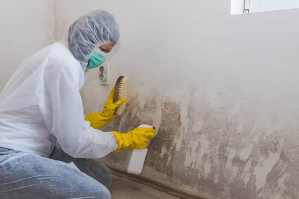 Best Residential Mold Removal  in Ellerslie, GA