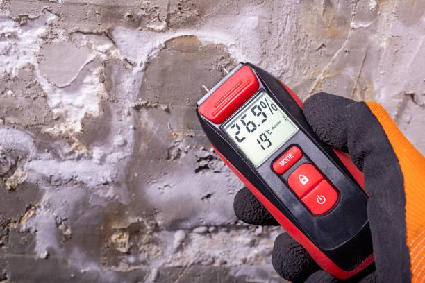 Best Mold Cleaning Services  in Ellerslie, GA