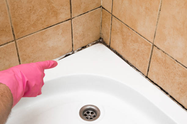 Best Same-Day Mold Removal  in Ellerslie, GA